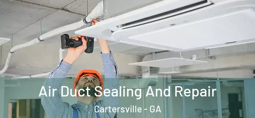  Air Duct Sealing And Repair Cartersville - GA