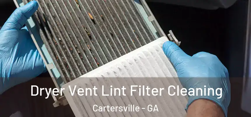  Dryer Vent Lint Filter Cleaning Cartersville - GA