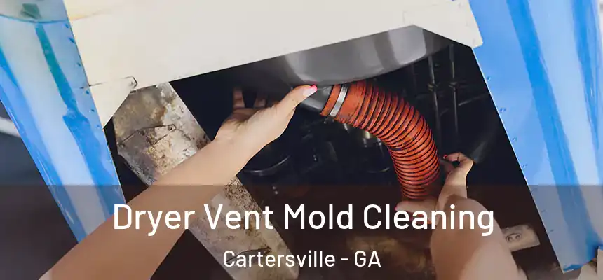  Dryer Vent Mold Cleaning Cartersville - GA
