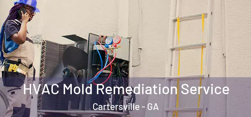  HVAC Mold Remediation Service Cartersville - GA