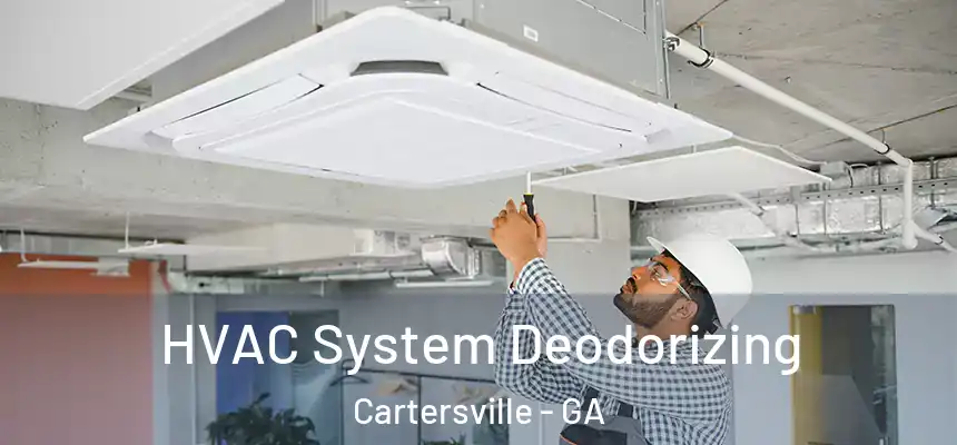  HVAC System Deodorizing Cartersville - GA
