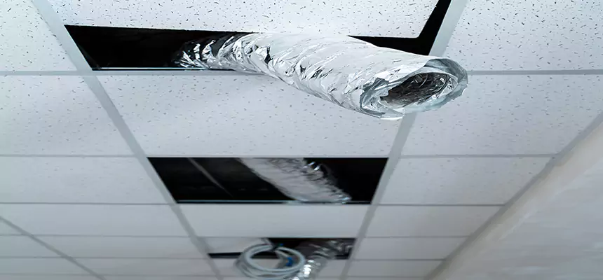 Our Air Duct Pet Hair Removal Services in Cartersville, GA