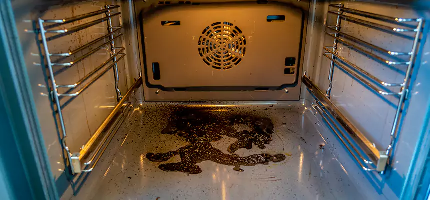 Our Dryer Vent Mold Cleaning Services in Cartersville, GA