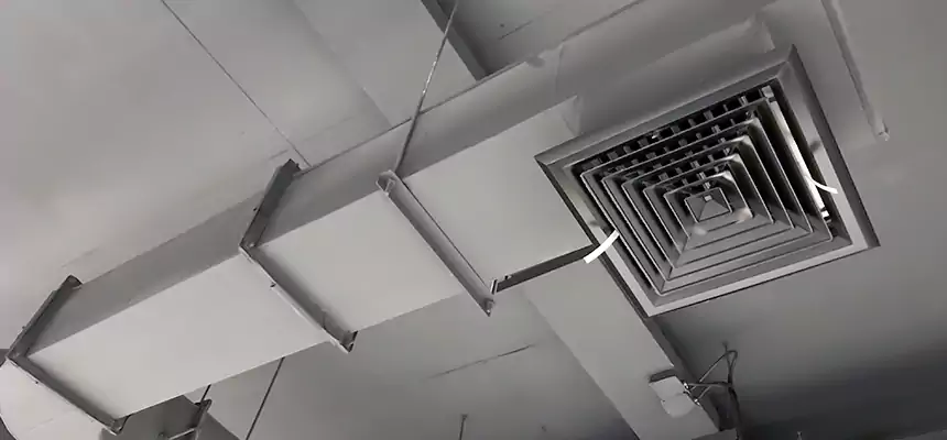 Our Pest Removal From Ducts Services in Cartersville, GA