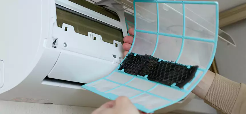 Gentle Ductwork Odor-Control Pet Dander Duct Cleaning in Cartersville, GA