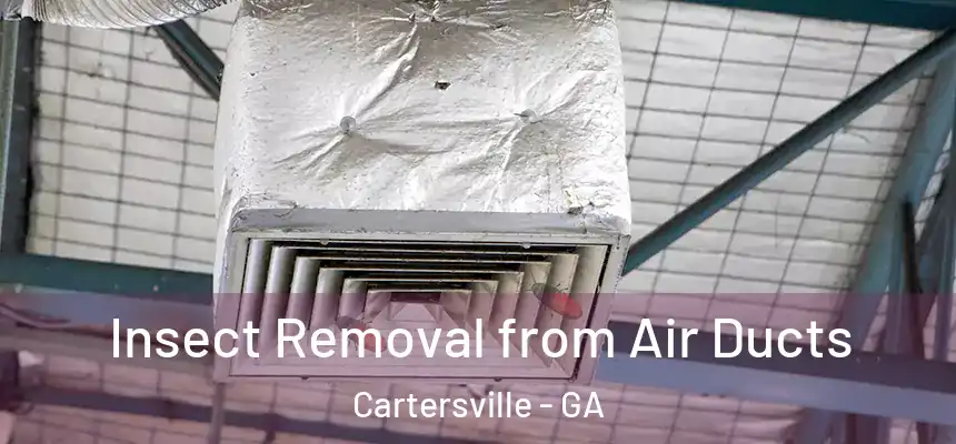  Insect Removal from Air Ducts Cartersville - GA