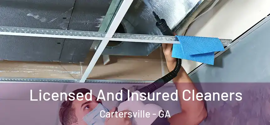 Licensed And Insured Cleaners Cartersville - GA