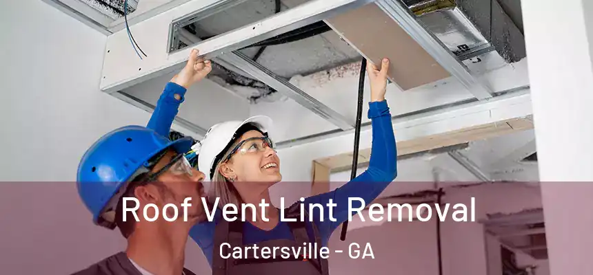  Roof Vent Lint Removal Cartersville - GA