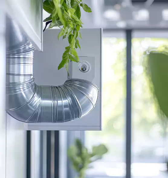 Professional Eco-Safe Dryer Vent Cleaning in Cartersville, GA