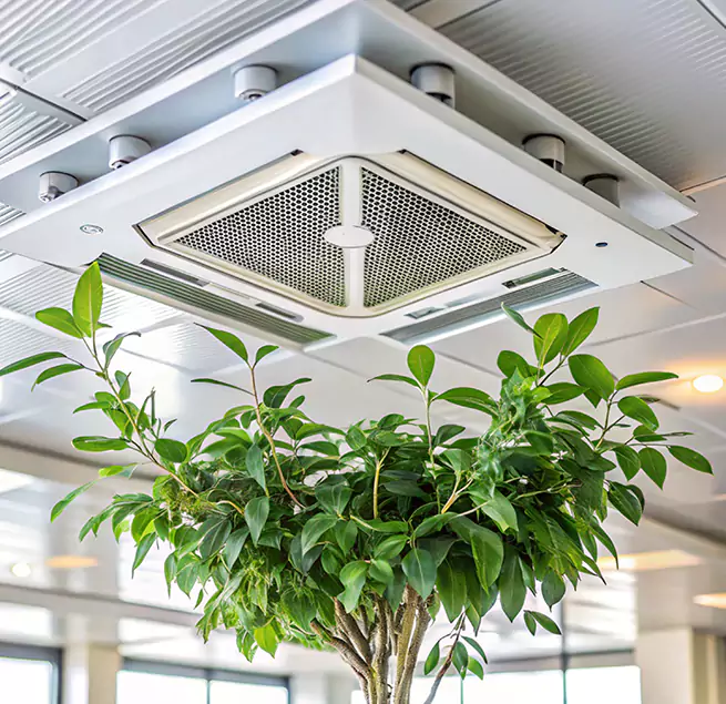 Why Homeowners & Businesses Trust Us in Cartersville, GA