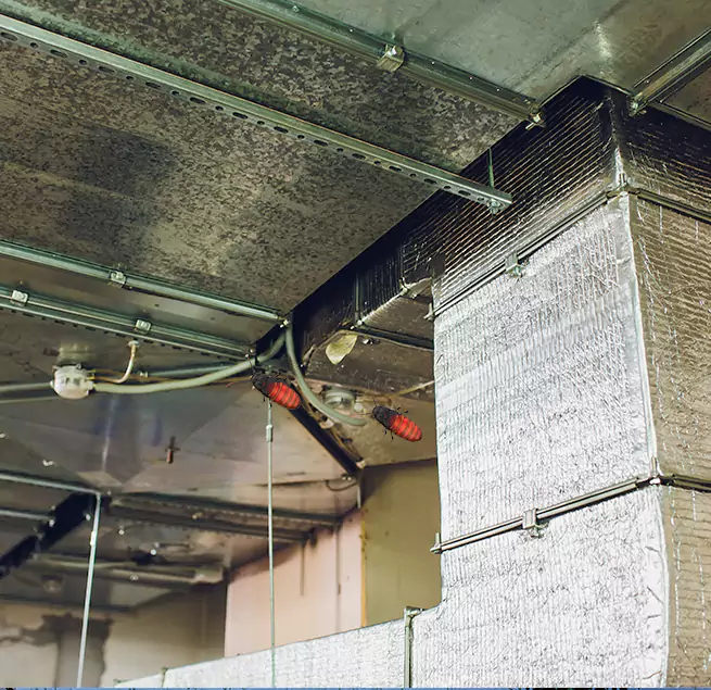 Why Homeowners & Businesses Trust Us Cartersville, GA?