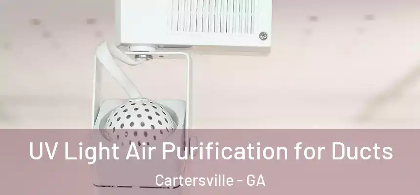  UV Light Air Purification for Ducts Cartersville - GA